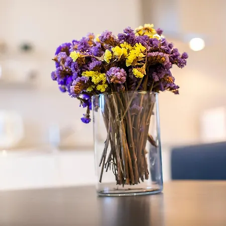 Casa Di Miriam * Côme